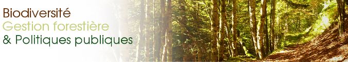 Forêt