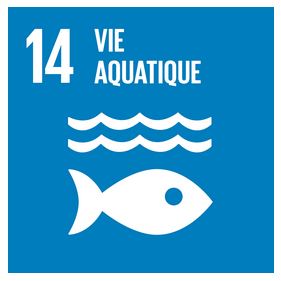 Objectif de développement durable 14 : Vie aquatique