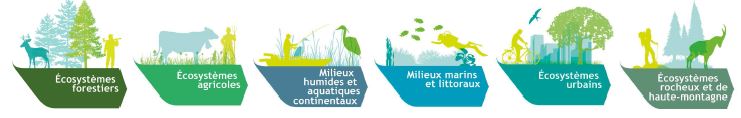 EFESE Ecosystèmes