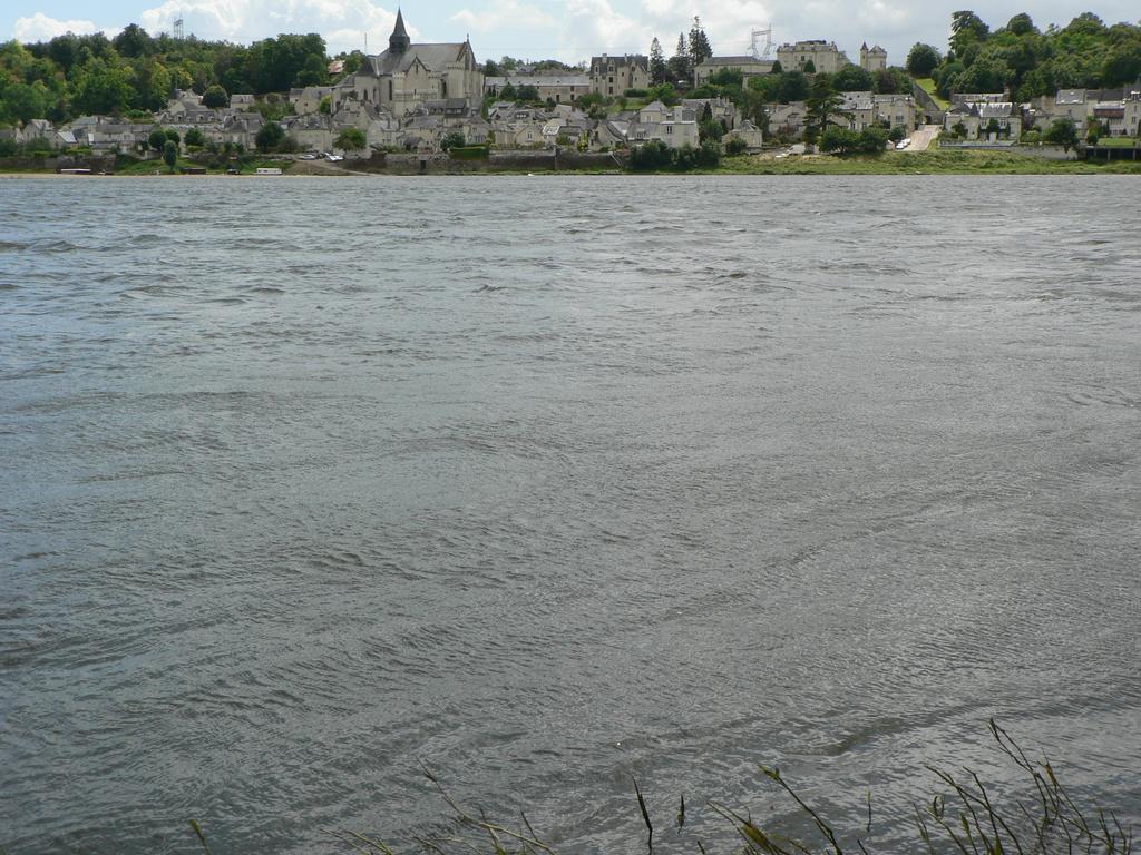 Candes-Saint-Martin en Indre-et-Loire | DIRECTION REGIONALE DE L'ENVIRONNEMENT, DE L'AMENAGEMENT ET DU LOGEMENT CENTRE-VAL DE LOIRE