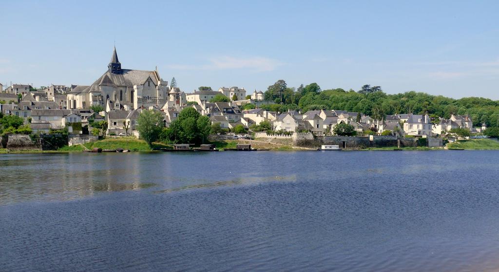 Candes-Saint-Martin (Indre-et-Loire) | DIRECTION REGIONALE DE L'ENVIRONNEMENT, DE L'AMENAGEMENT ET DU LOGEMENT CENTRE-VAL DE LOIRE