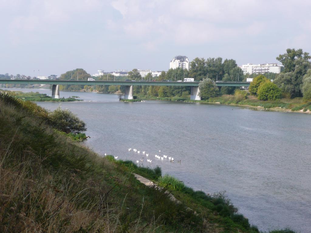 La Loire à Orléans | DIRECTION REGIONALE DE L'ENVIRONNEMENT, DE L'AMENAGEMENT ET DU LOGEMENT CENTRE-VAL DE LOIRE