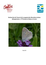 Recherche de l'azuré de la sanguisorbe Maculinea teleius (Bergsträsser, 1779) dans le Maine-et-Loire en 2014 | HERBRECHT (Franck)