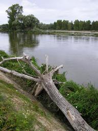 Paysage de Loire | DIRECTION REGIONALE DE L'ENVIRONNEMENT, DE L'AMENAGEMENT ET DU LOGEMENT CENTRE-VAL DE LOIRE