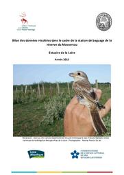 Bilan des données récoltées dans le cadre de la station de baguage de la réserve du Massereau - estuaire de la Loire année 2015 | MAILLARD Jean-François