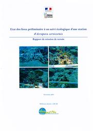 Etat des lieux préliminaire à un suivi écologique d’une station d’Acropora cervicornis : rapport de mission de terrain | THABARD Marie