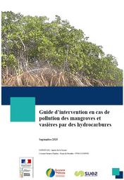 Guide d'intervention en cas de pollution des mangroves et vasières par des hydrocarbures | C.COLOMBIER