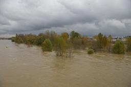 Crue de la Loire : Orléans - Novembre 2008 | DIRECTION REGIONALE DE L'ENVIRONNEMENT, DE L'AMENAGEMENT ET DU LOGEMENT CENTRE-VAL DE LOIRE