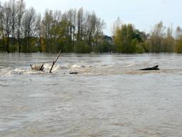 Crue de la Loire : Orléans - Novembre 2008 | DIRECTION REGIONALE DE L'ENVIRONNEMENT, DE L'AMENAGEMENT ET DU LOGEMENT CENTRE-VAL DE LOIRE