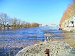 Crue de la Loire : Orléans - Crue du 7 décembre 2003 | DIRECTION REGIONALE DE L'ENVIRONNEMENT, DE L'AMENAGEMENT ET DU LOGEMENT CENTRE-VAL DE LOIRE