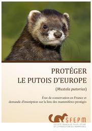 Protéger le putois d'Europe (Mustela putorius) - État de conservation en France et demande d’inscription sur la liste des mammifères protégés | RIGAUX Pierre