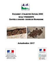 Actualisation du document d'objectifs (Docob) du site Natura 2000 n° FR 2600975 "Cavités à chauves-souris en Bourgogne" | MARCHAIS Guillaume