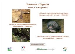 Document d'objectifs du réseau de site Natura 2000 "Cavités à chauves-souris en Franche-Comté" : -FR 4301304 "Réseau de cavités à Barbastelles et Grands rhinolophes de la vallée du Doubs" -FR 4301345 "Réseau de cavités à Phinolophes dans la région de Vesoul" -FR4301351 "Réseau de cavités à Minioptères de Schreibers en Franche-Comté" | BRESSON Catherine