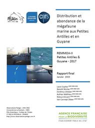 Distribution et abondance de la mégafaune marine aux Petites Antilles et en Guyane (REMMOA-II) Rapport final 2017 | LARAN S.