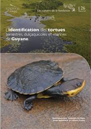 Identification des tortues terrestres, dulçaquicoles et marines de Guyane. | DEWYNTER Maël