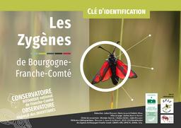 Clé d’identification des Zygènes de Bourgogne-Franche-Comté. | RYELANDT Julien