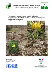 Plan de conservation en faveur de la gagée de Bohême (Gagea bohemica (Zauschner) Schultes et Schultes fil. subsp. gallica (Rouy) I.B.K. Richardson) en région Pays de la Loire | HARDY (Franck)