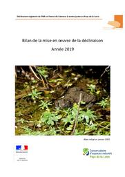 Déclinaison régionale du PNA en faveur du Sonneur à ventre jaune en Pays de la Loire - Bilan de la mise en oeuvre de la déclinaison - Année 2019 | CONSERVATOIRE D'ESPACES NATURELS DES PAYS DE LA LOIRE
