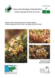 Plan de conservation en faveur de l'orpin d'Angers (Sedum andegavense (DC.) Desv.) en région Pays de la Loire | LACROIX (Pascal)