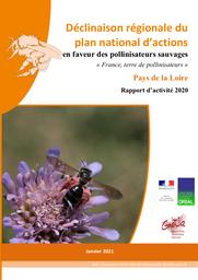 Déclinaison régionale du plan national d’actions en faveur des pollinisateurs sauvages « France, terre de pollinisateurs » Pays de la Loire - Rapport d’activité 2020 | HUBERT B.