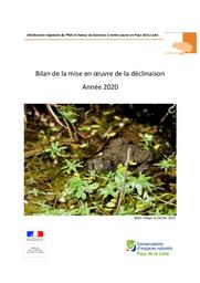 Déclinaison régionale du PNA en faveur du Sonneur à ventre jaune en Pays de la Loire - Bilan de la mise en oeuvre de la déclinaison - Année 2020 | CHEVREAU Johannic