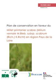 Plan de conservation en faveur du Millet printanier scabre (Milium vernale M.Bieb. subsp. scabrum (Rich.) K.Richt) en région Pays de la Loire | MESNAGE Cécile