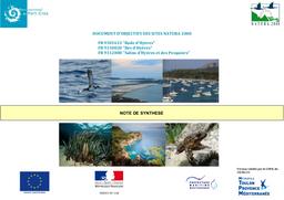 Document d'Objectifs (DOCOB) : sites Natura 2000 FR9301613 "Rade d'Hyères" FR9310020 "Iles d'Hyères" FR9312008 "Salins d'Hyères et des Pesquiers" | PARC NATIONAL DE PORT-CROS