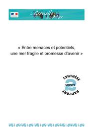 Grenelle de la mer. Rapport du groupe 2 - Entre menaces et potentiels, une mer fragile et promesse d'avenir. | DACHICOURT (PG)