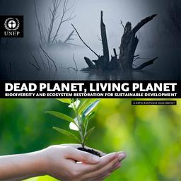 Dead planet, living planet. Biodiversity and ecosystem restoration for sustainable development. A rapid response assessment. | CORCORAN (E)