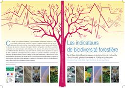 Les indicateurs de biodiversité forestière. Synthèse des réflexions issues du programme de recherche "biodiversité, gestion forestière et politiques publiques". | NIVET (Cécile)