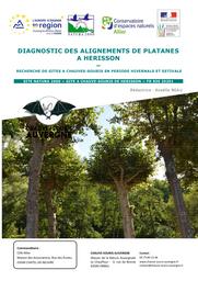 Diagnostic des alignements de platanes à Hérisson - recherche de gîtes à chauve-souris en période hivernale et estivale Site Natura 2000 FR83020201 | NEAU Anaëlle