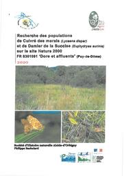 Recherche des populations de Cuivré des marais et de Damier de la Succise sur la site Natura 2000 FR8301091 "Dore et affluents" | BACHELARD (Philippe)