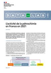 L’activité de la pétrochimie en France en 2021. | LAUVERJAT Jean