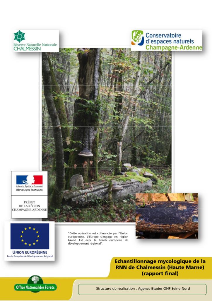 Echantillonnage mycologique de la RNN de Chalmessin (Haute Marne) (rapport final) | 