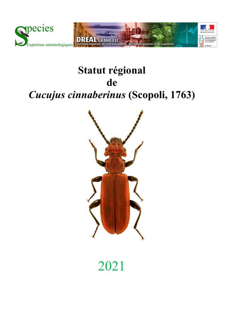 Statut régional de Cucujus cinnaberinus (Scopoli, 1763) 2021 2021 | 