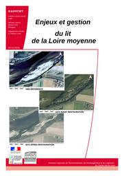 Enjeux et gestion du lit de la Loire moyenne | DIRECTION REGIONALE DE L'ENVIRONNEMENT, DE L'AMENAGEMENT ET DU LOGEMENT CENTRE-VAL DE LOIRE