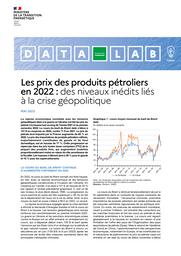 Les prix des produits pétroliers en 2022 : des niveaux inédits liés à la crise géopolitique | MISAK Evelyne