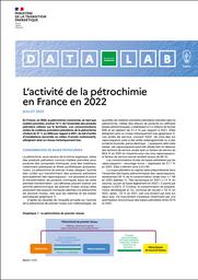 L’activité de la pétrochimie en France en 2022 | LAUVERJAT Jean