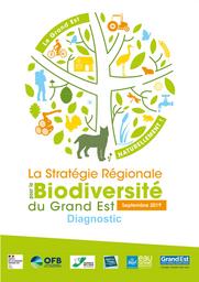 La stratégie régionale pour la biodiversité du Grand Est - Diagnostic | DIRECTION REGIONALE DE L'ENVIRONNEMENT, DE L'AMENAGEMENT ET DU LOGEMENT GRAND-EST. Auteur