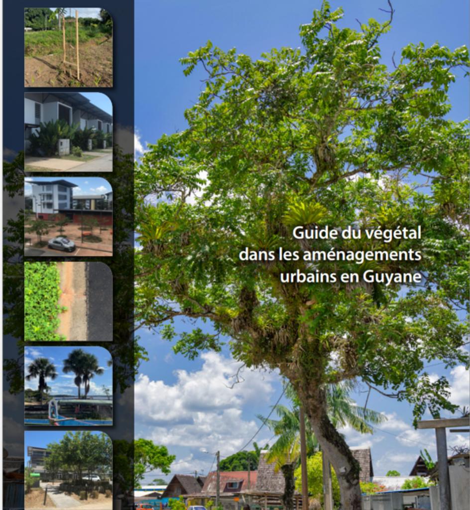 Guide du végétal dans les aménagements urbains en Guyane | 