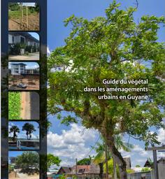 Guide du végétal dans les aménagements urbains en Guyane | BARD Rodolphe
