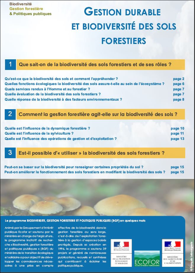 Synthèse Gestion durable et biodiversité des sols forestiers