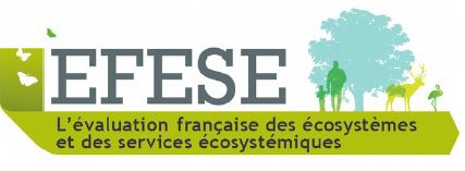 Logo EFESE